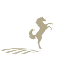  DOMAINE GUITARD