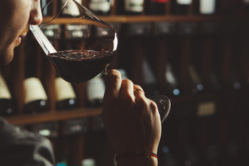 dégustation de vin blanc Nîmes