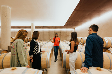 Visite du domaine viticole : appréciez la beauté des vignobles et dégustez des vins d'exception